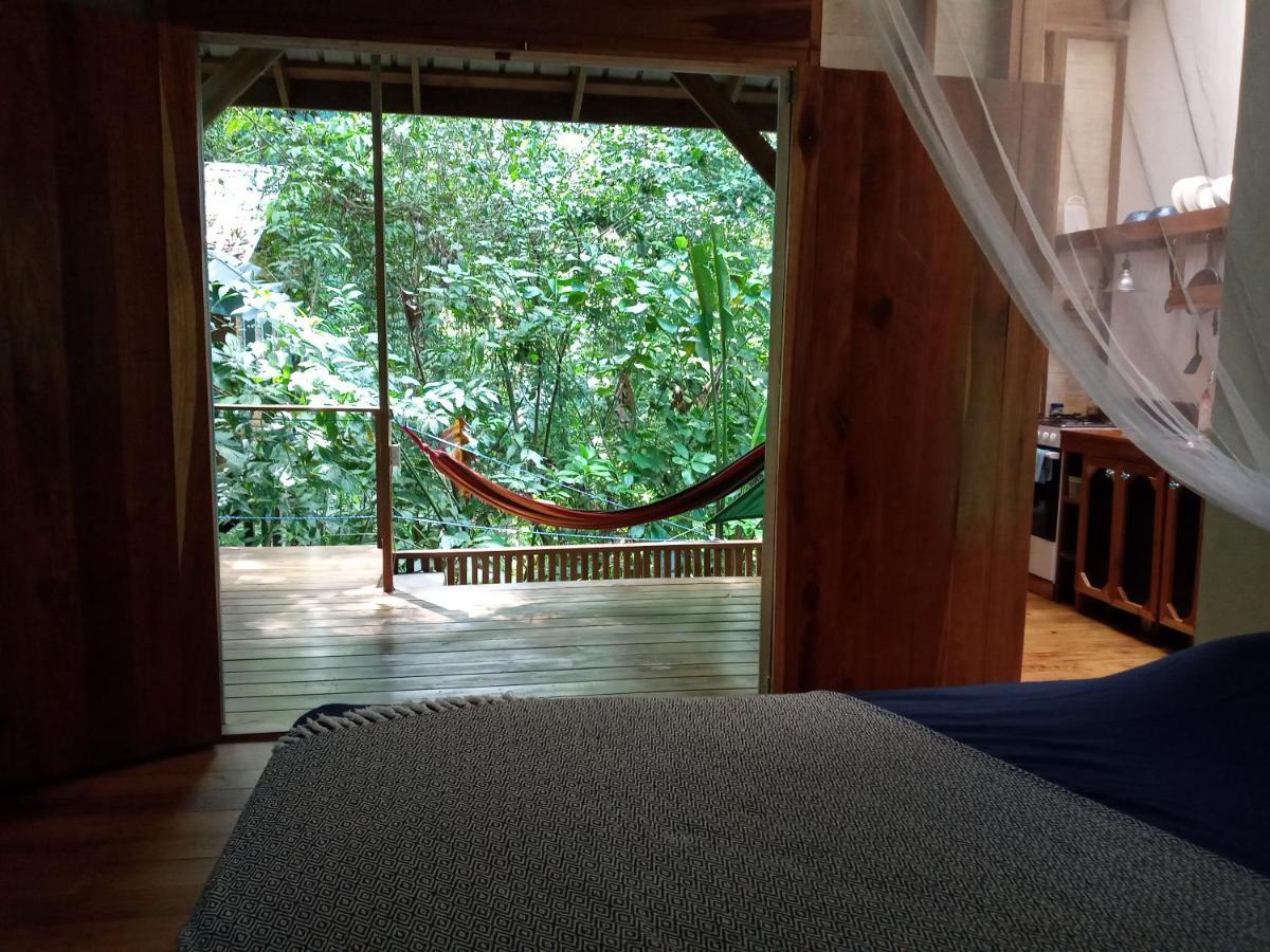 Jungle Paunch Villa Bocas del Toro Exterior photo